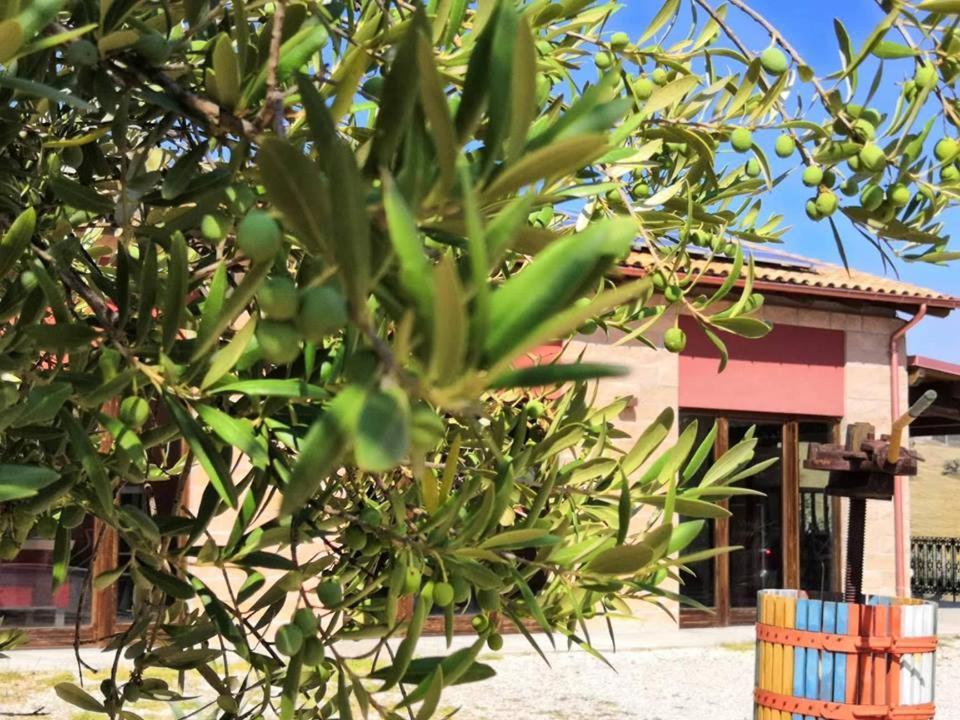 Country House Torrenera Morro dʼOro Extérieur photo